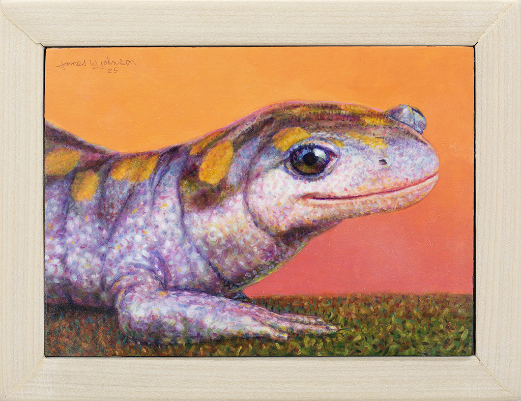 Smiley Salamander